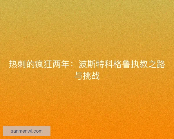 热刺的疯狂两年：波斯特科格鲁执教之路与挑战